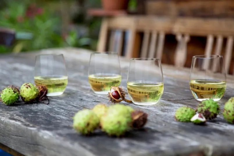 Riedel Gläser-Gläserset - Riesling O Wine Tumbler 2tlg. Transparent