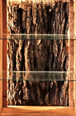 Highboard Bark 4067<WOLFMÖBEL New