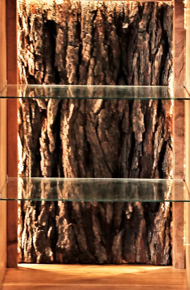 Highboard Bark 4067<WOLFMÖBEL New