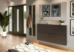 Germania Schuhschränke-Hängeschuhschrank Ameca Graphit