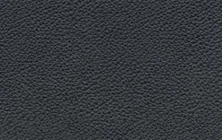 Hocker 586 Meg<Rolf Benz Online