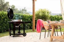 Holzkohlegrill Kugelgrill PRO-CART<Napoleon Sale