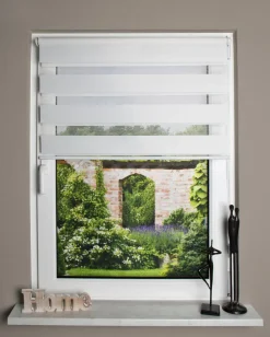 Schmidt Vorhänge & Gardinen-Kettenzugrollo Zebra 50 x 150 cm Creme