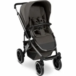 ABC Design Sportwagen & Jogger|Kombi-Kinderwagen-Kombi-Kinderwagen Salsa 5 Air Almond