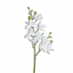 Kunstblume Mini-Orchidee Phalaenopsis< Best