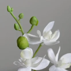 Kunstblume Mini-Orchidee Phalaenopsis< Best