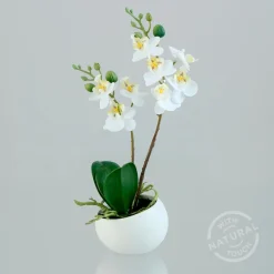 Kunstblume Orchidee Phalaenopsis 25 cm< Outlet