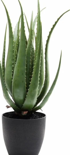 KARE DESIGN Grünpflanzen|Dekofiguren Tiere & Pflanzen-Kunstpflanze Aloe 60724 Grün