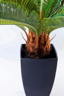 KARE DESIGN Grünpflanzen|Dekofiguren Tiere & Pflanzen-Kunstpflanze Cycas Tree 61200 Grün