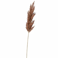 Gräser|BOLTZE Kunstpflanze Pampasgras 117 cm Braun