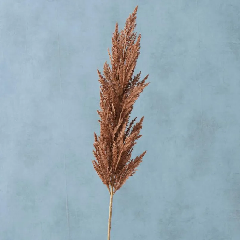 Gräser|BOLTZE Kunstpflanze Pampasgras 117 cm Braun