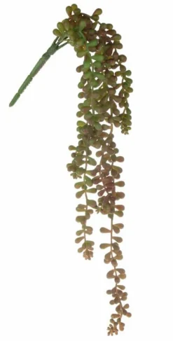 Grünpflanzen-Kunstpflanze Sukkulente 52 cm Grün