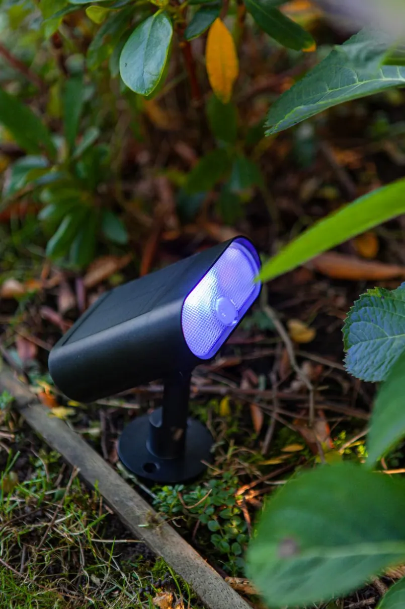 Led-Solarleuchten|Led-Solarleuchten|Eco-Light LED-Außensolarerdspieß Ginbo Schwarz