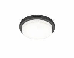 Außenwandleuchten|Trio LED-Außenwandleuchte Bermejo Schwarz