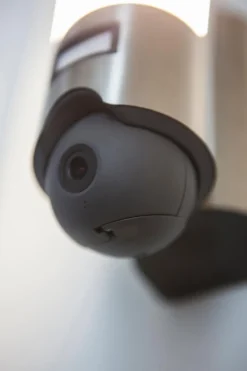 Außenwandleuchten|Außenwandleuchten|Lutec LED-Außenwandleuchte Elara Edelstahl
