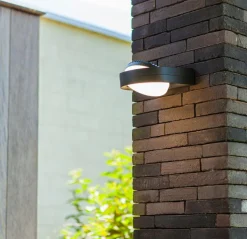 Lutec Außenwandleuchten|Außenwandleuchten-LED-Außenwandleuchte Fele Anthrazit