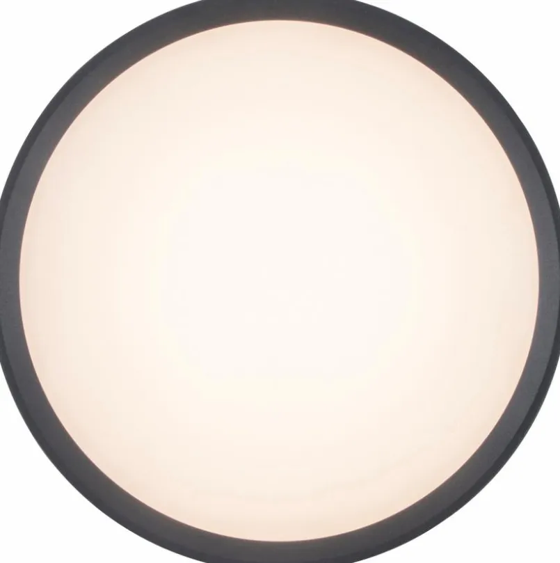 Außenwandleuchten|Außendeckenleuchten|Eco-Light LED-Außenwandleuchte Rola Anthrazit