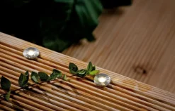 LED-Bodeneinbauleuchte Plug & Shine<Paulmann New