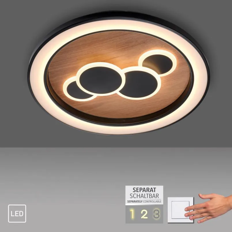 Paul Neuhaus Deckenleuchten-LED-Deckenleuchte Eliza Schwarz