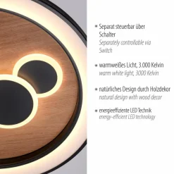 Paul Neuhaus Deckenleuchten-LED-Deckenleuchte Eliza Schwarz