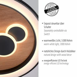 Paul Neuhaus Deckenleuchten-LED-Deckenleuchte Eliza Schwarz