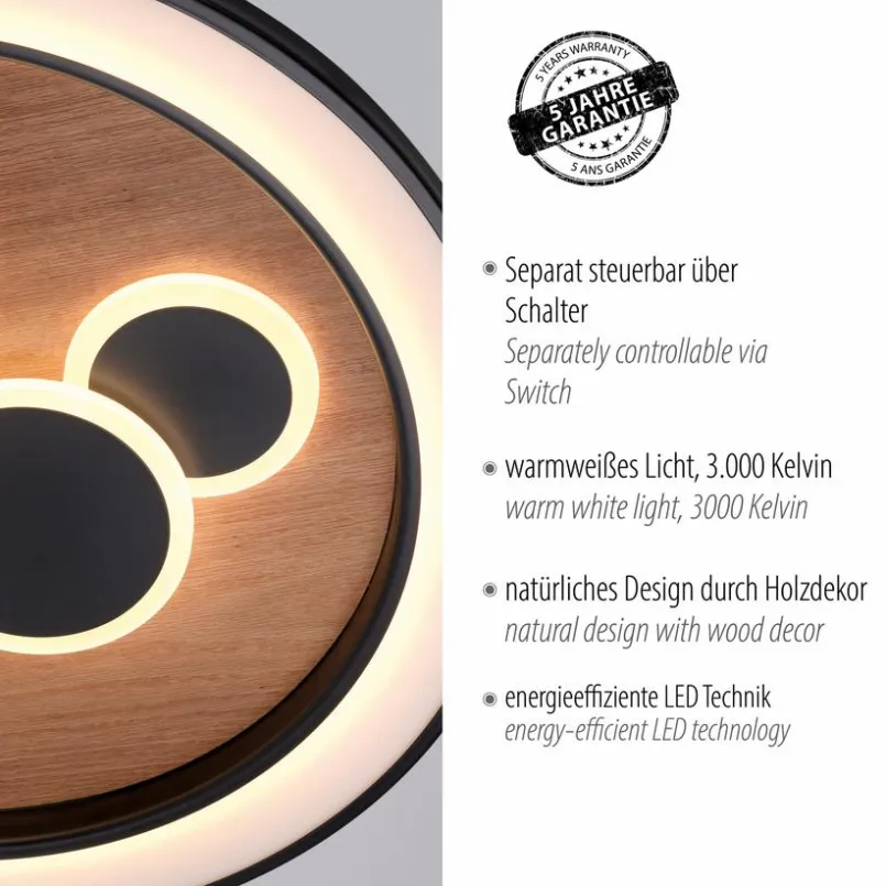 Paul Neuhaus Deckenleuchten-LED-Deckenleuchte Eliza Schwarz
