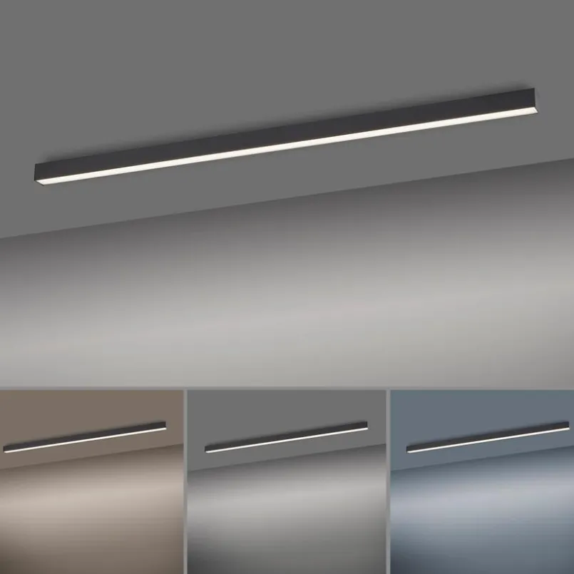 Deckenleuchten|Neuhaus PURE LED-Deckenleuchte Pure Lines Anthrazit