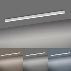 Neuhaus PURE Deckenleuchten-LED-Deckenleuchte Pure Lines Alu