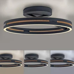 LED-Deckenleuchte Pure Loop<Neuhaus PURE Discount