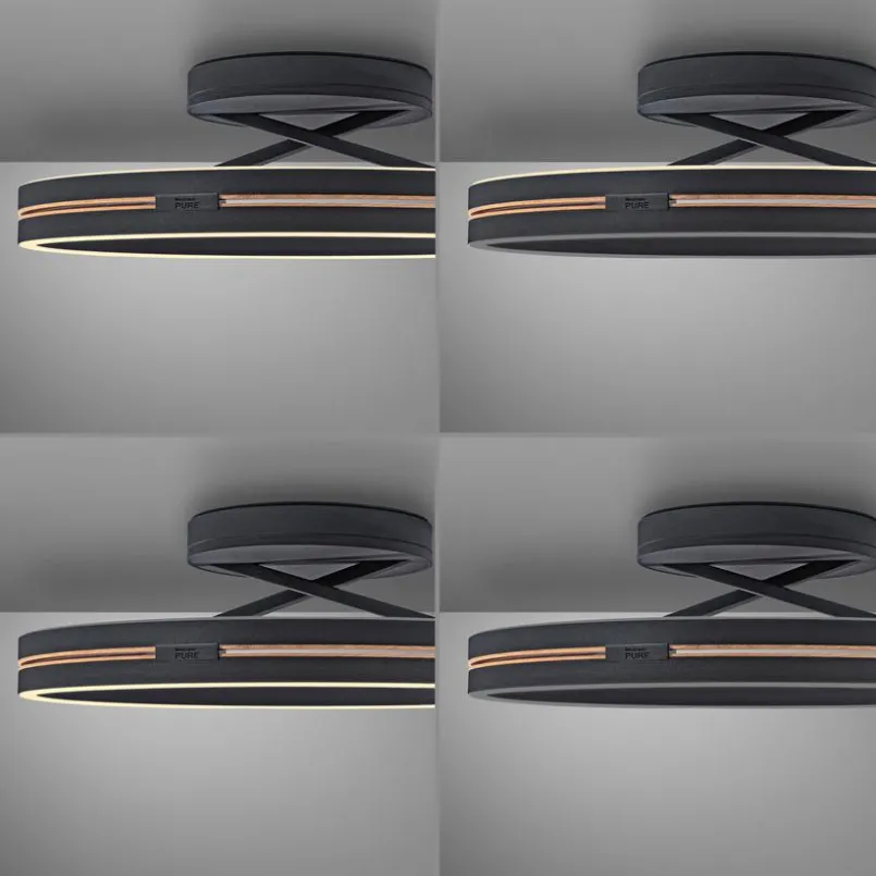 LED-Deckenleuchte Pure Loop<Neuhaus PURE Discount