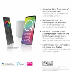 Q SMART HOME LIGHTS Deckenleuchten|Deckenleuchten-LED-Deckenleuchte Q-Vito Schwarz
