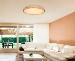 Deckenleuchten|Globo LED-Deckenleuchte Rainer Braun