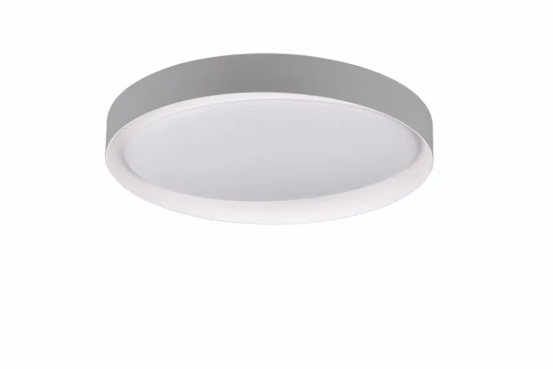 Deckenleuchten|Reality Leuchten LED-Deckenleuchte Zeta Grau / Weiß