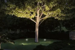 Paulmann Wege- & Bodenleuchten|Wege- & Bodenleuchten-LED-Erdspieß Plug & Shine Schwarz