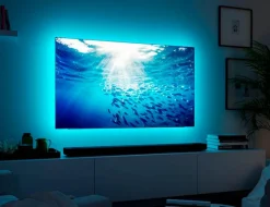 Paulmann Led-Stripes & Lichterketten-LED-Flexband MaxLED TV55 Set Silber