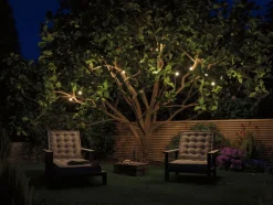 LED-Lichterkette Plug&Shine<Paulmann Best