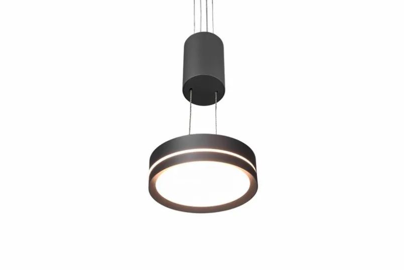 Trio Pendelleuchten-LED-Pendelleuchte Franklin Anthrazit