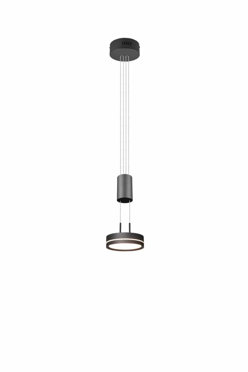 Trio Pendelleuchten-LED-Pendelleuchte Franklin Anthrazit