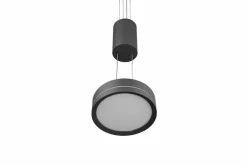 Trio Pendelleuchten-LED-Pendelleuchte Franklin Anthrazit