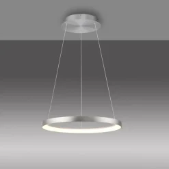 Paul Neuhaus Pendelleuchten-LED-Pendelleuchte Hoop Silber