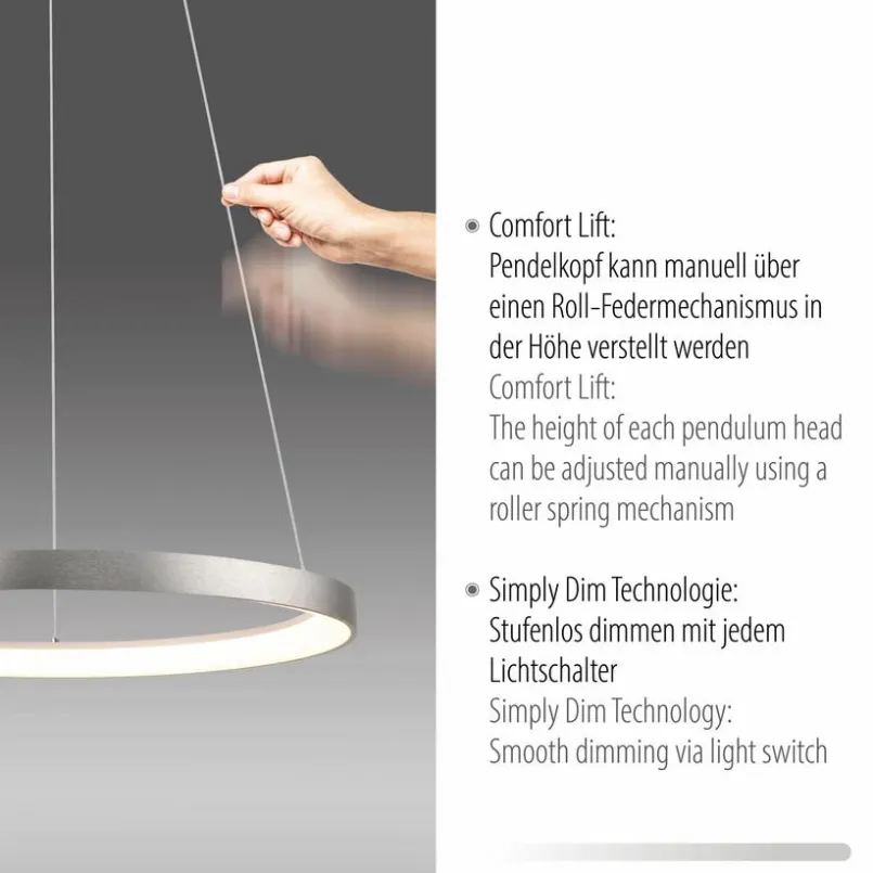 Paul Neuhaus Pendelleuchten-LED-Pendelleuchte Hoop Silber