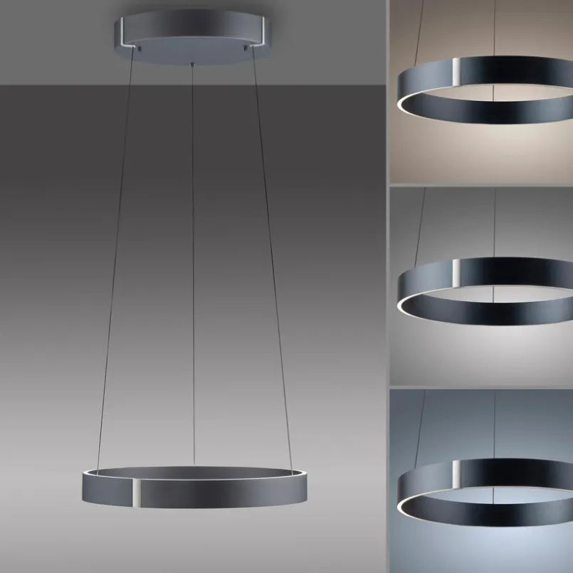 LED-Pendelleuchte Pure E-Clipse<Neuhaus PURE Discount