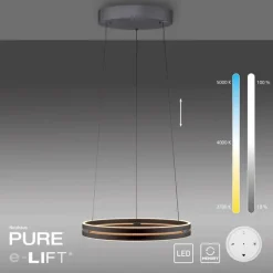 LED-Pendelleuchte Pure E-Loop<Neuhaus PURE Clearance