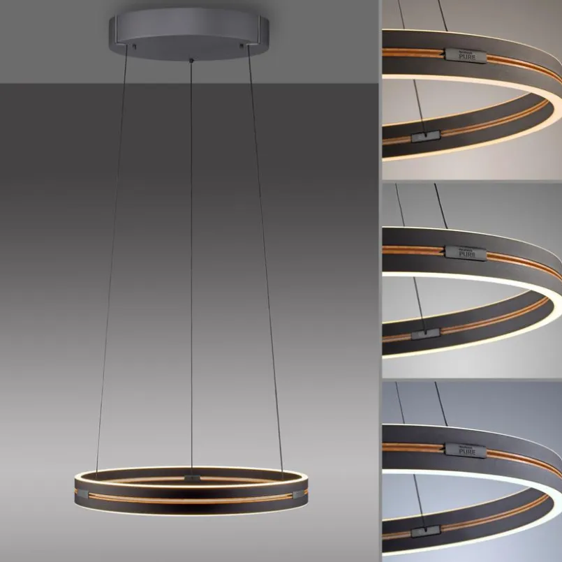 LED-Pendelleuchte Pure E-Loop<Neuhaus PURE Clearance