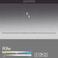 Pendelleuchten|Neuhaus PURE LED-Pendelleuchte Pure Lite Anthrazit