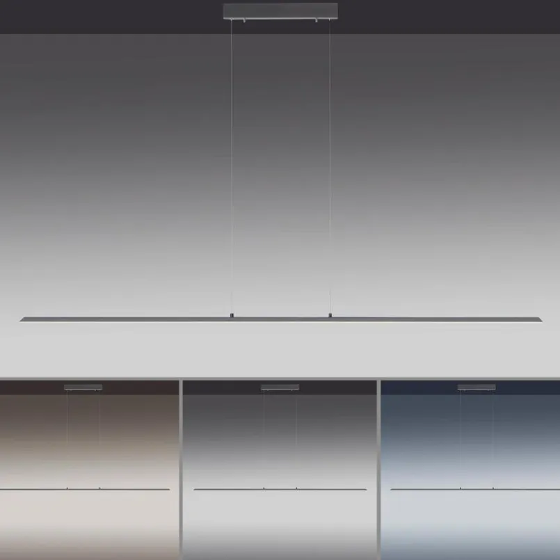Pendelleuchten|Neuhaus PURE LED-Pendelleuchte Pure Lite Anthrazit