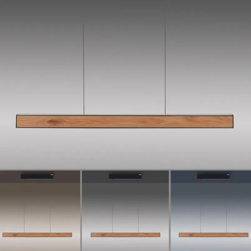 LED-Pendelleuchte Pure-E-Motion<Neuhaus PURE Sale