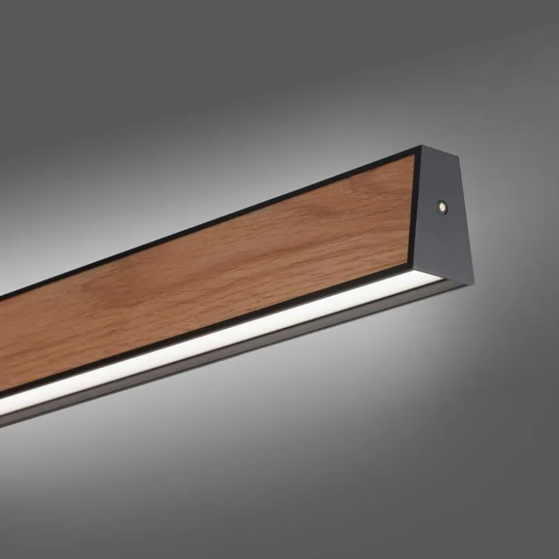 LED-Pendelleuchte Pure-E-Motion<Neuhaus PURE Sale