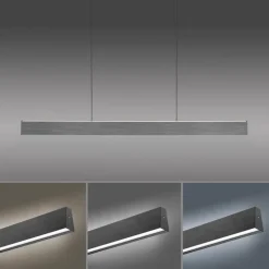 Pendelleuchten|Neuhaus PURE LED-Pendelleuchte Pure-Motion Grau