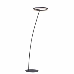 Stehlampen|Paul Neuhaus LED-Stehlampe Titus Anthrazit
